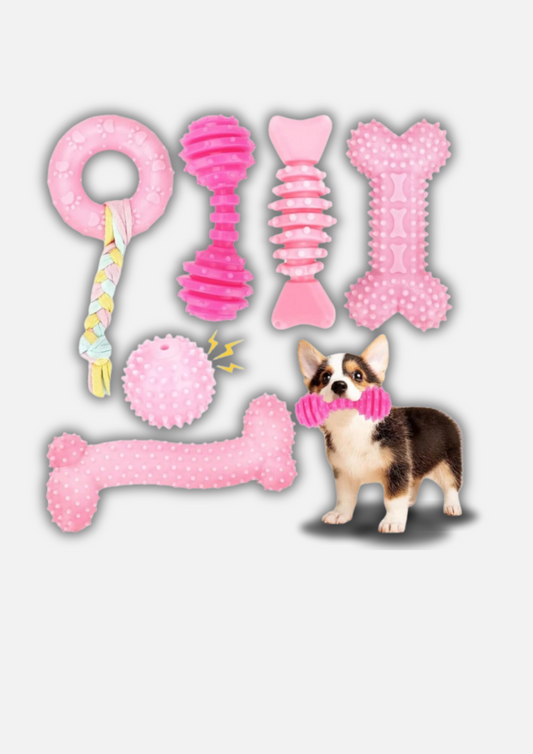 Kit brinquedos Cachorro (6unids.)